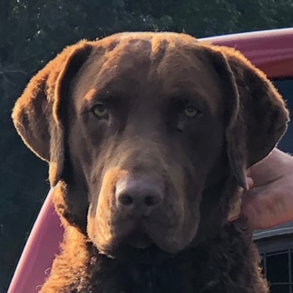 Meet your Posher, Hill